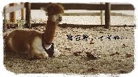 ブログ写真