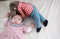 ブログ写真