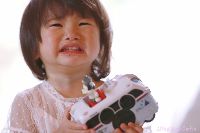ブログ写真