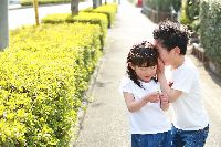 ブログ写真