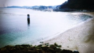ブログ写真