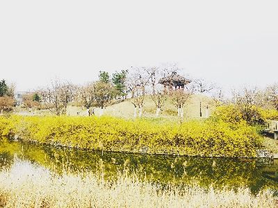ブログ写真