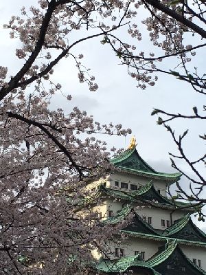 ブログ写真