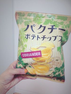 ブログ写真