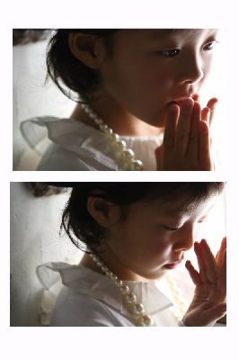 ブログ写真