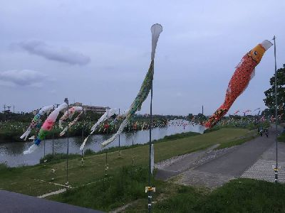 ブログ写真