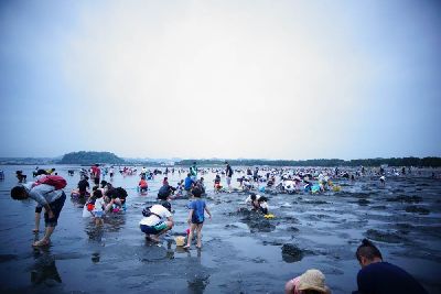 ブログ写真