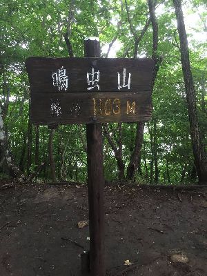 ブログ写真