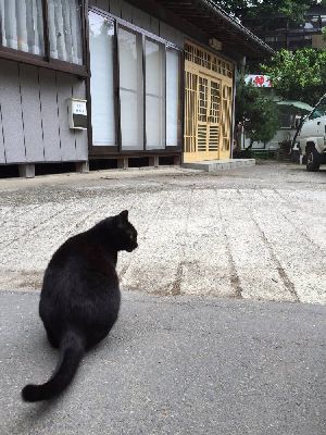 ブログ写真