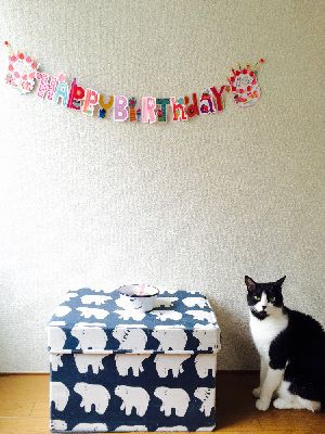 ブログ写真