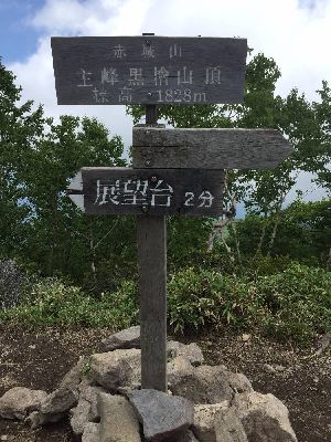 ブログ写真