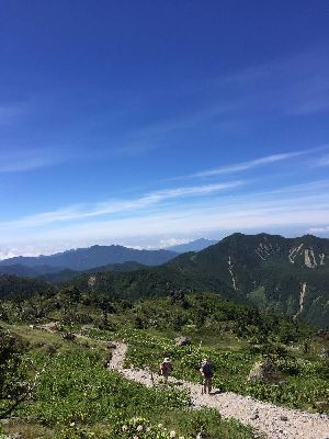 ブログ写真