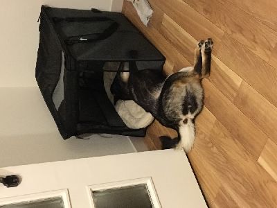 ブログ写真