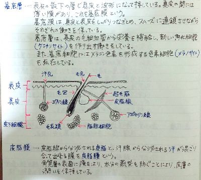 ブログ写真