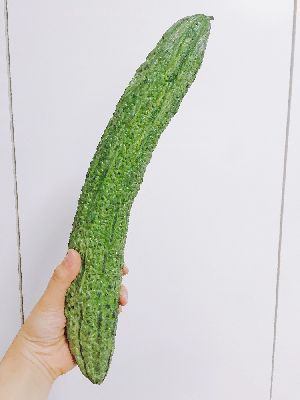 ブログ写真