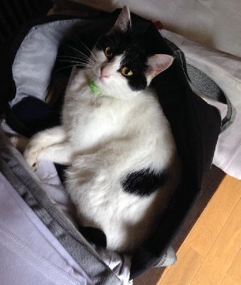 ブログ写真