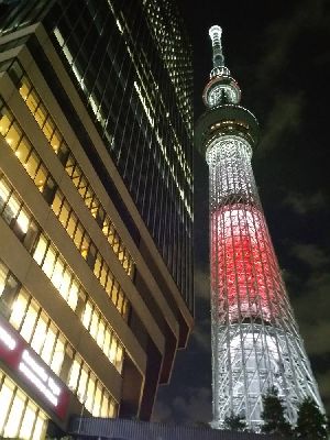 ブログ写真