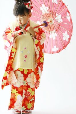 ブログ写真