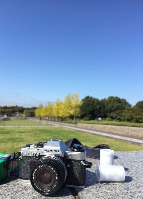 ブログ写真