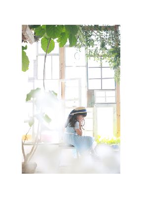 ブログ写真