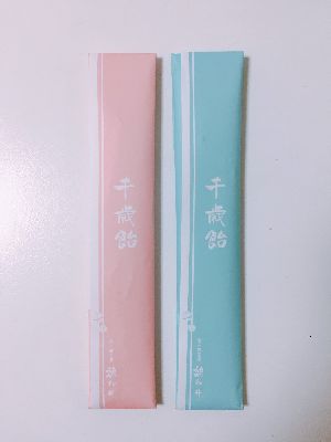 ブログ写真