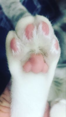 ブログ写真