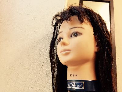 ブログ写真