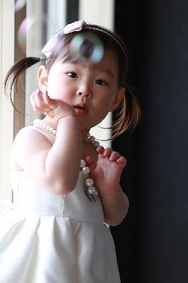 ブログ写真