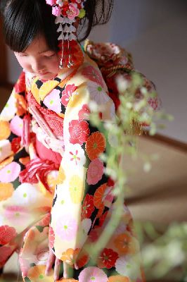 ブログ写真