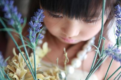 ブログ写真