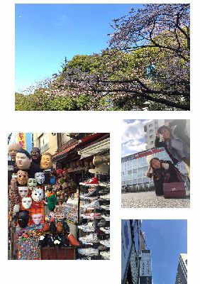 ブログ写真