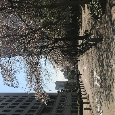 ブログ写真