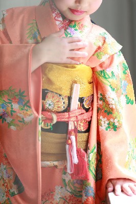 ブログ写真