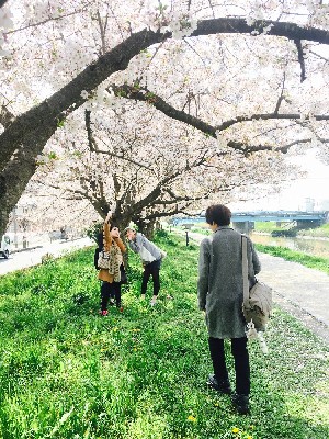 ブログ写真