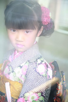 ブログ写真