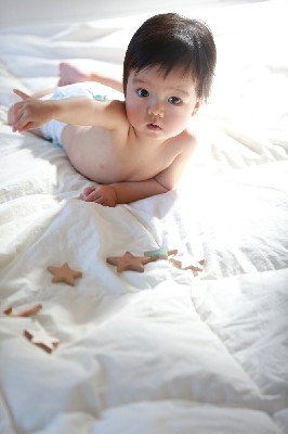 ブログ写真