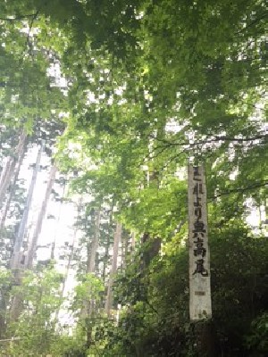 ブログ写真