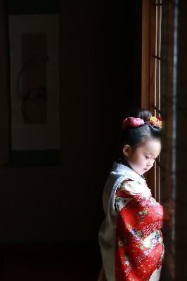 ブログ写真