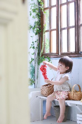 ブログ写真