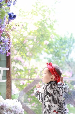 ブログ写真