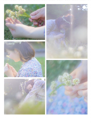 ブログ写真