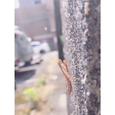 ブログ写真