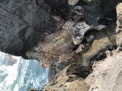 ブログ写真