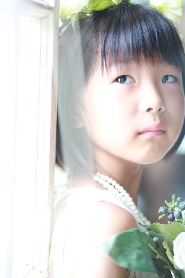 ブログ写真