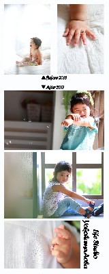 ブログ写真