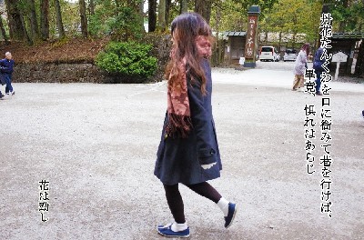 ブログ写真