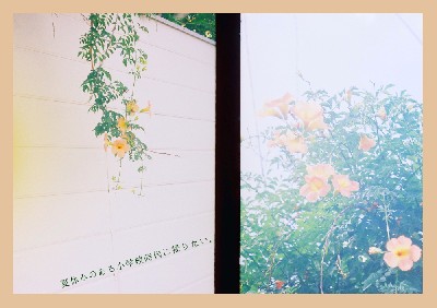 ブログ写真