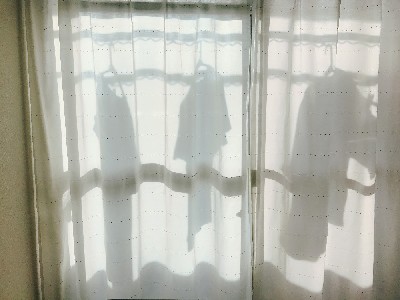 ブログ写真