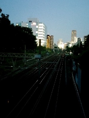 ブログ写真