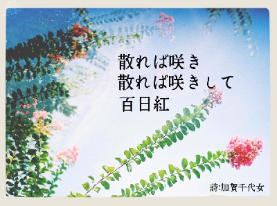 ブログ写真